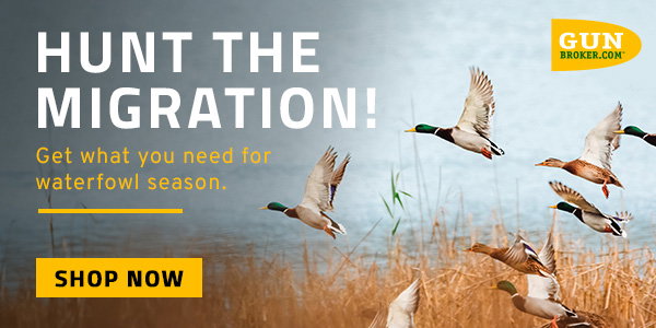 Hunt the Migration