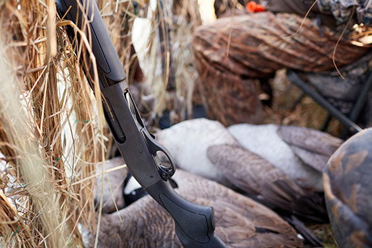 Shop Waterfowl Shotguns