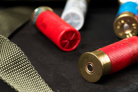 Shop Non-toxic Shotshells