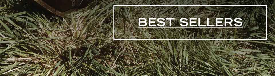 best sellers