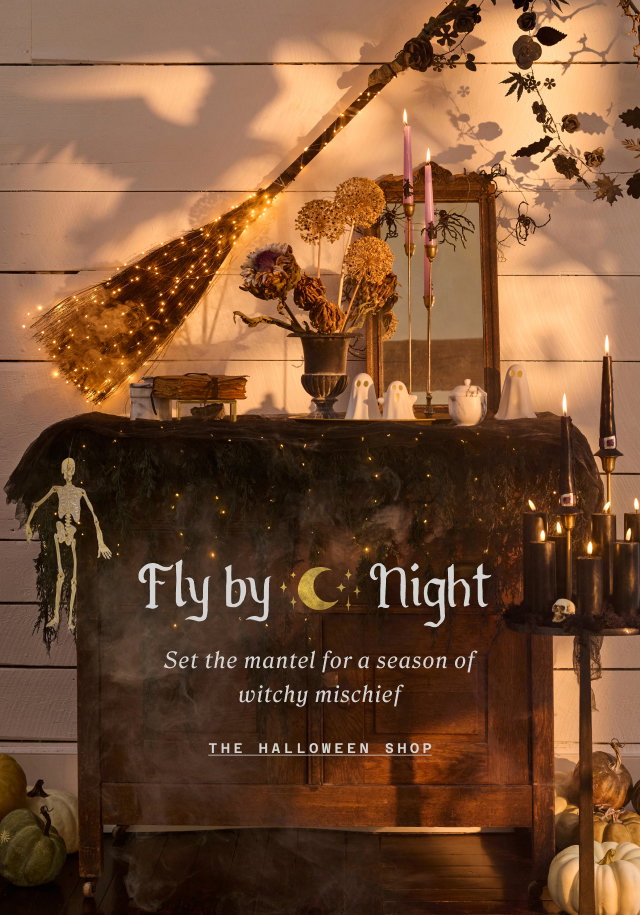 fly by night. the halloween shop,