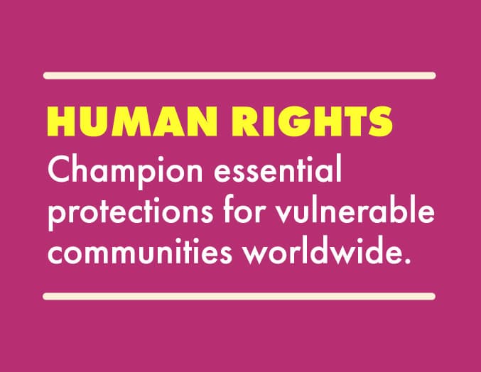 Human Rights: Champion essential protections for vulnerable communities worldwide.