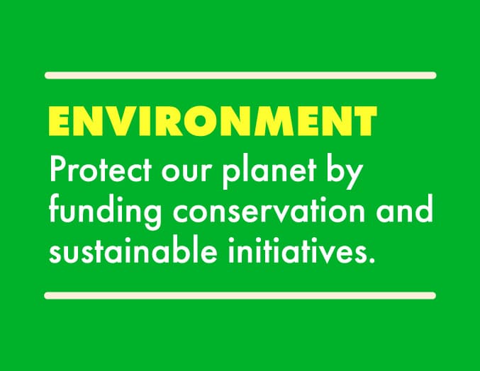 Environment: Protect our planet by funding conservation and sustainable initiatives.