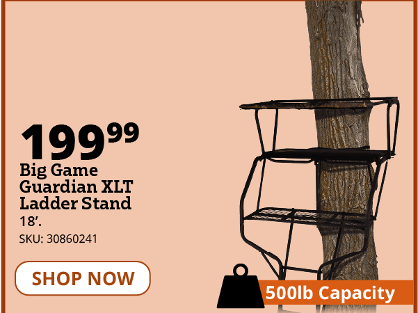 Big Game Guardian XLT Ladder Stand