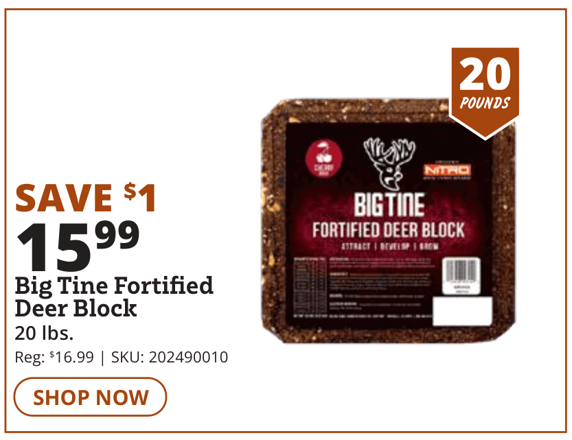 big tine deer block