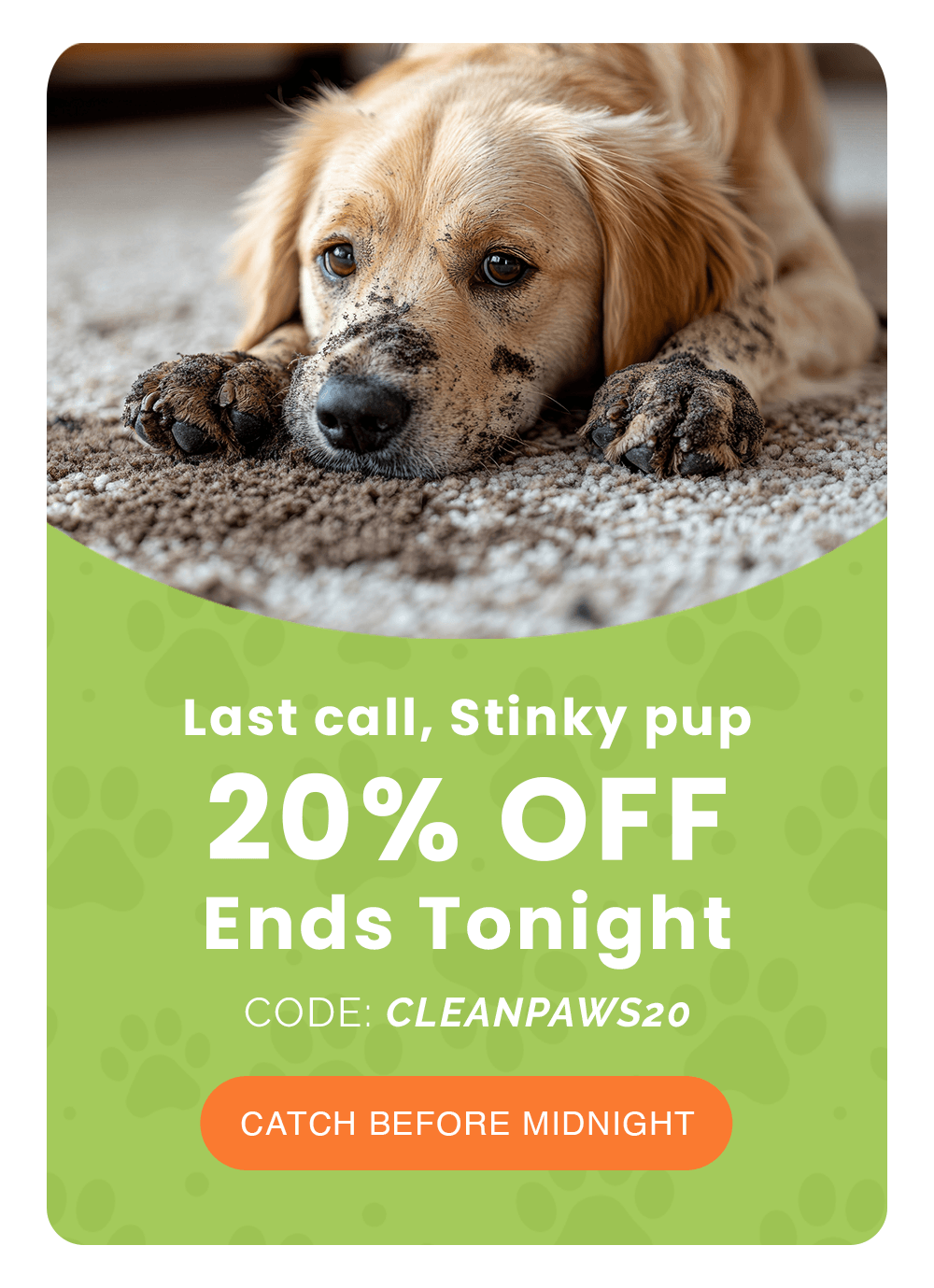 Last call, Stinky pup. 20% Off Ends Tonight. CODE: CLEANPAWS20