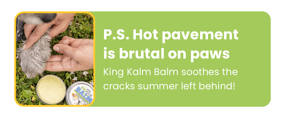 P.S. Hot pavement is brutal on paws. King Kalm Balm soothes the cracks summer left behind!