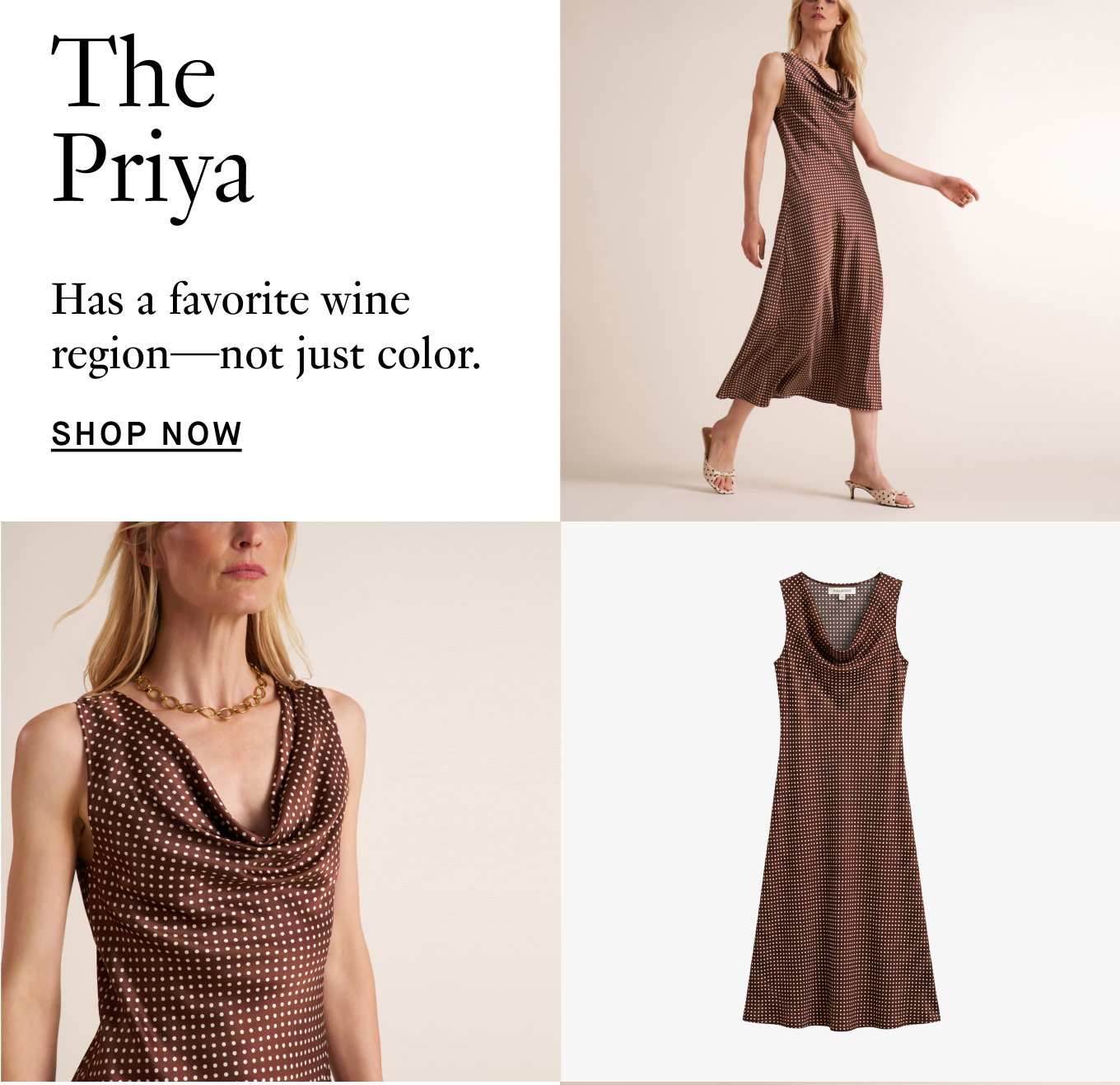 The Priya Silky Dress