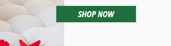 ANNIVERSARY