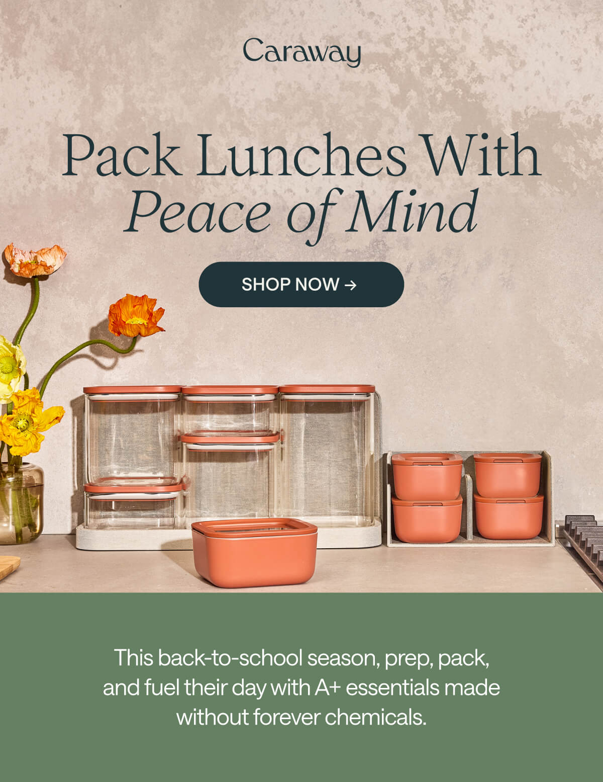Pack Lunches With Peace of Mind  This back-to-school season, prep, pack, and fuel their day with A+ essentials made without forever chemicals. Shop Now → 