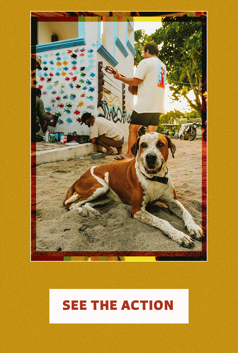 Mayan Permit