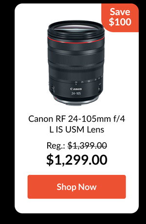 Canon RF 24-105mm f/4 L IS USM Lens