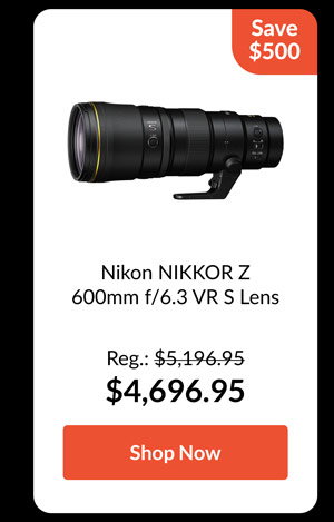 NIKON NIKKOR Z 600MM F/6.3 VR S LENS