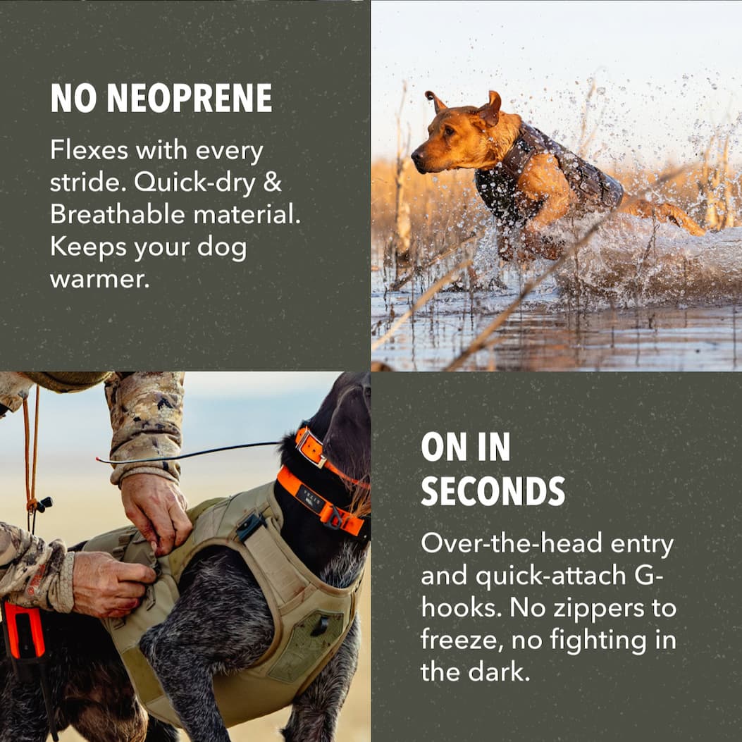Man’s Best Dog Vest