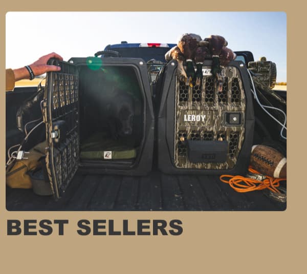 Best Sellers
