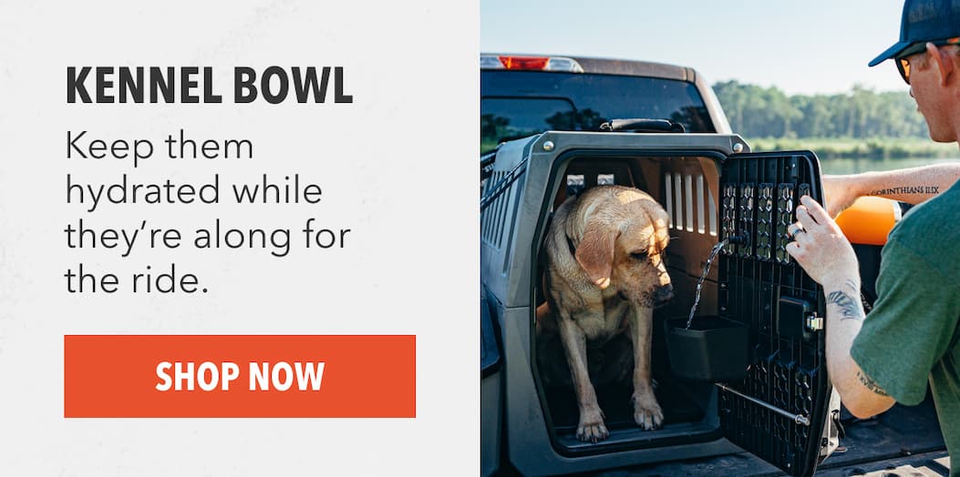 Kennel Bowl