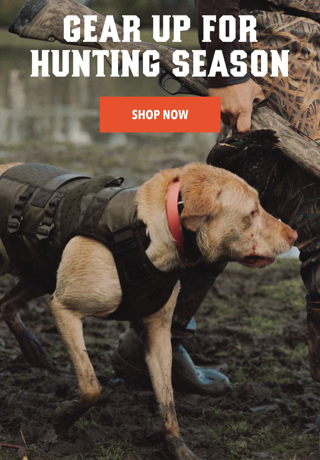 Gear Up For Hunting Season