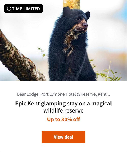 Epic Kent glamping stay on a magical wildlife reserve