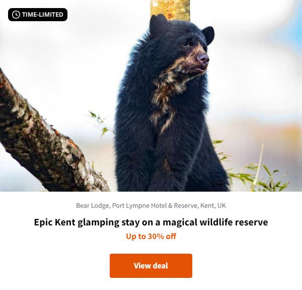 Epic Kent glamping stay on a magical wildlife reserve