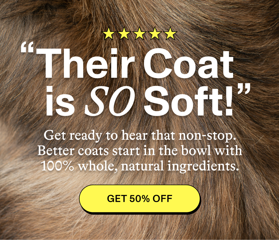 Their Coat is So Soft! Get 50% Off