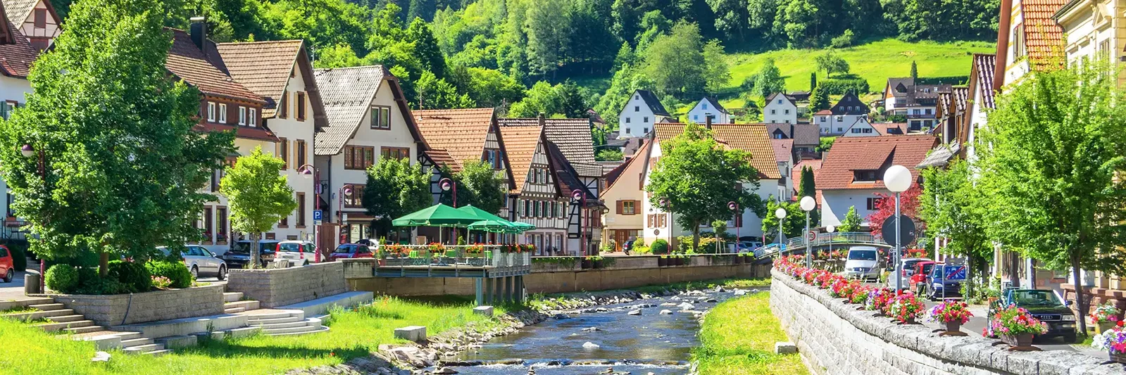 Picturesque village along a river, featuring traditional houses and lush greenery in the background.
