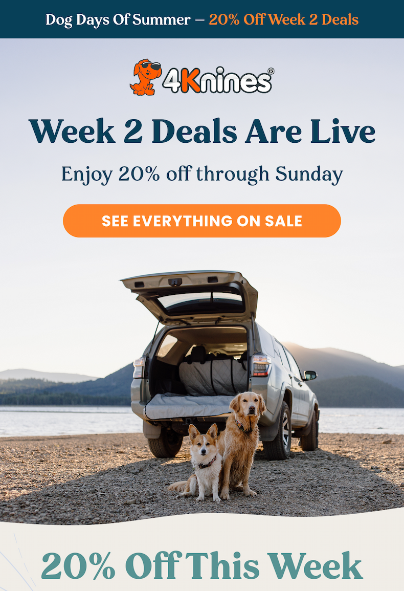 SEE EVERYTHING ON SALE