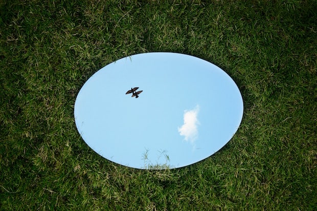 An oval mirror placed on grass reflects a blue sky with a small white cloud and two birds flying.