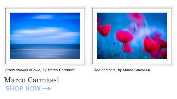 Brush Strokes of Blue & Red and Blue by Marco Carmassi