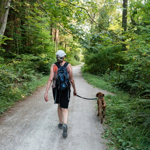 Pet-Friendly National Parks
