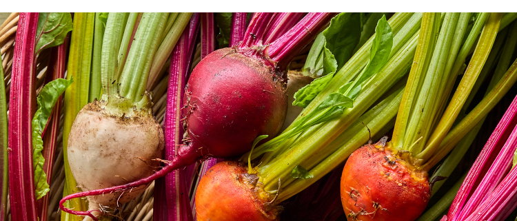 Beet Seeds