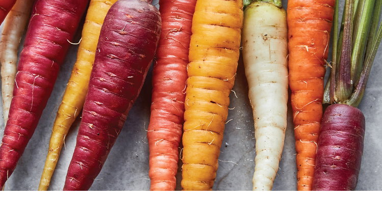 Carrot Seeds
