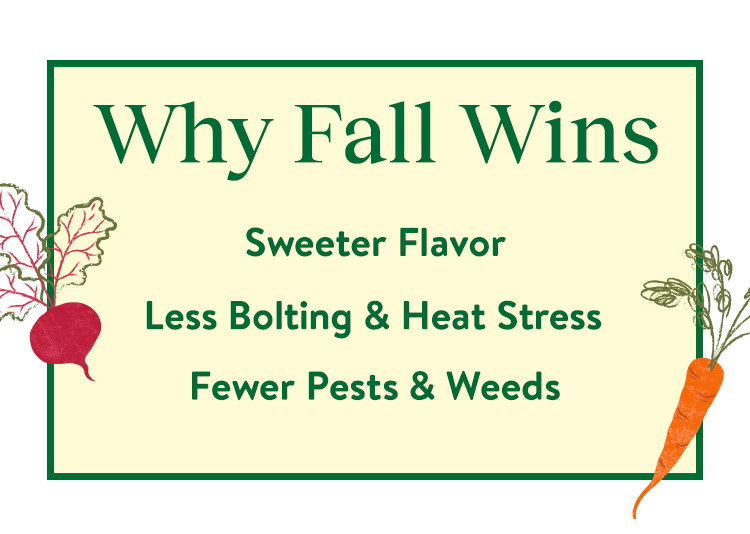Grow Again Fall Harvest