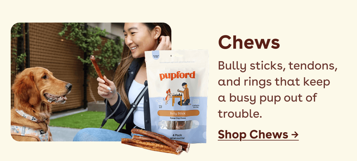 Shop chews 