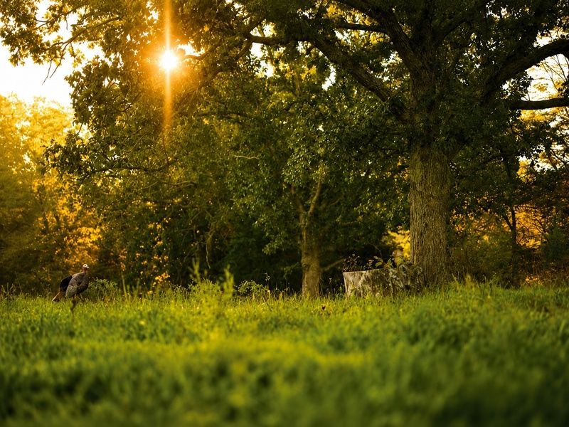 Cabela's lifestyle image