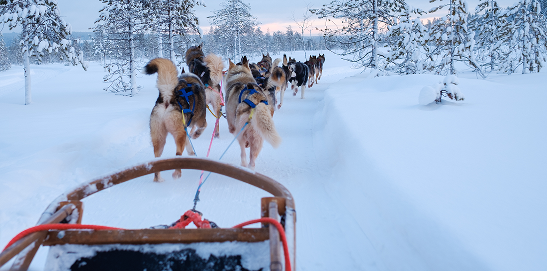 3 new destinations above the Arctic Circle 