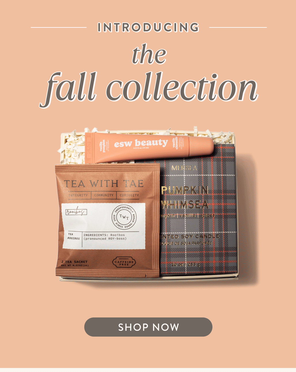 Shop the Fall Collection 