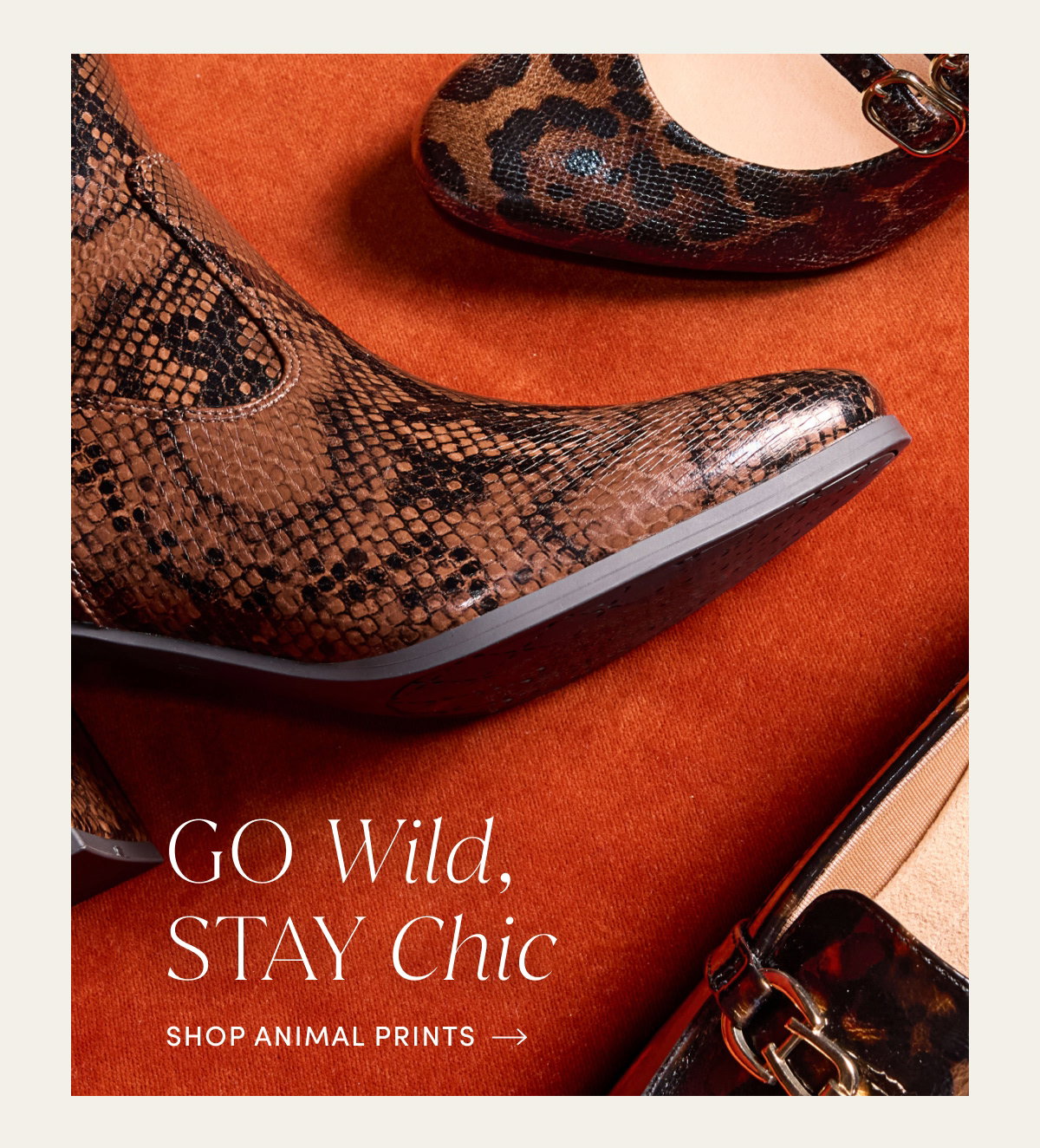 Go Wild, Stay Chic | Shop Animal Prints