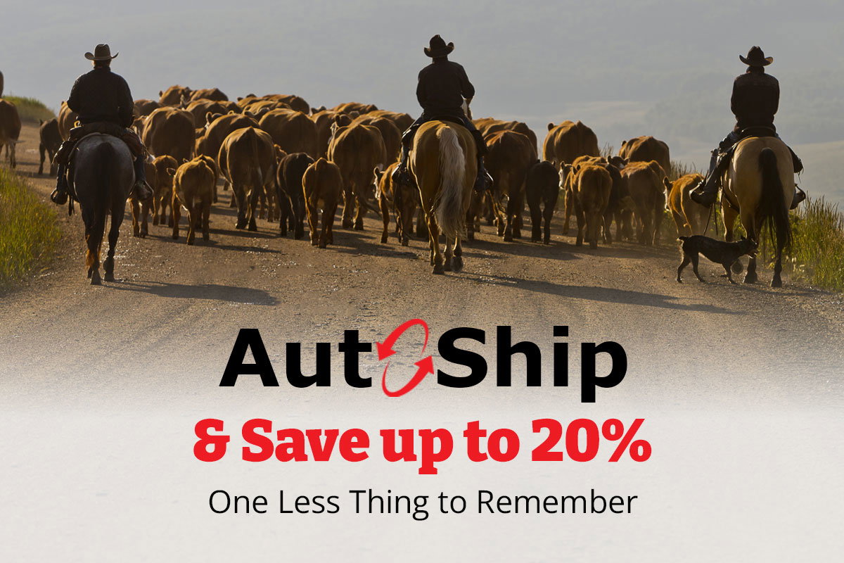 Auto-Ship & Save up to 20% - One Less Thing to Remember