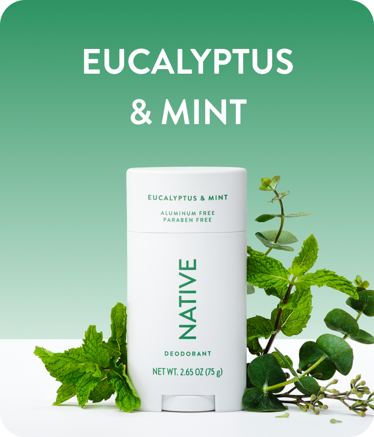 eucalyptus and mint