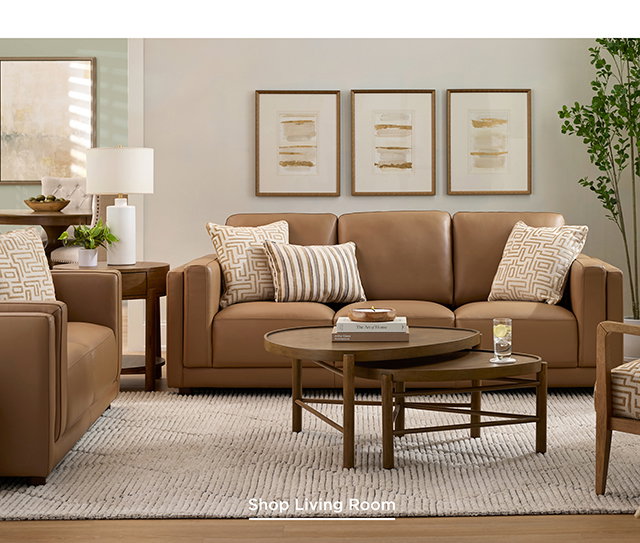 Shop Living Room