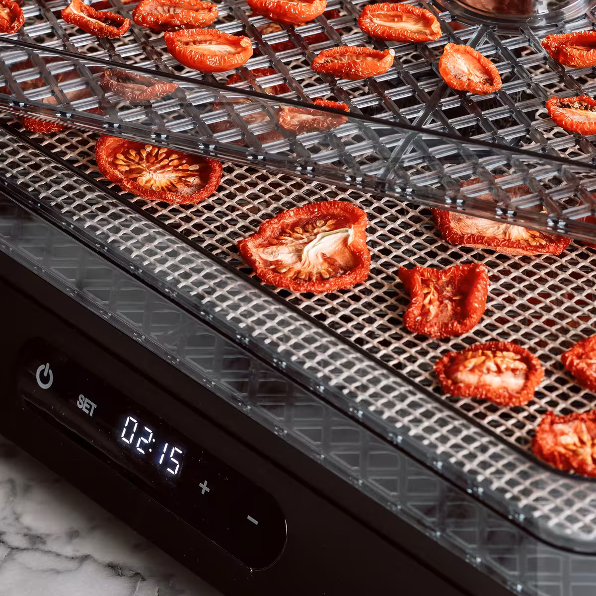 Nod Dehydrator torkugn 5 lager
