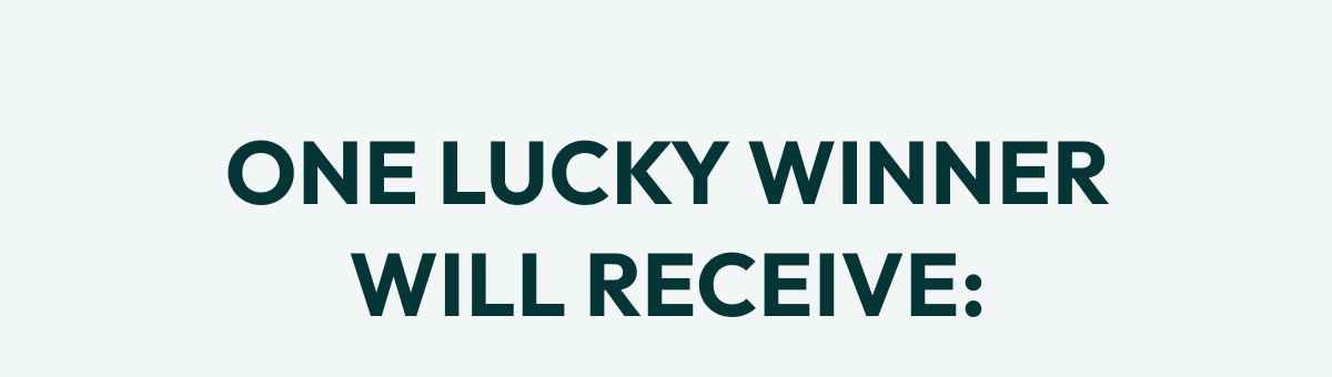 ONE LUCKY WINNER WILL RECEIVE: