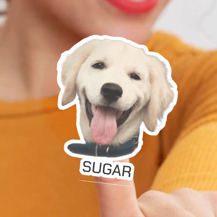 A kiss-cut sticker