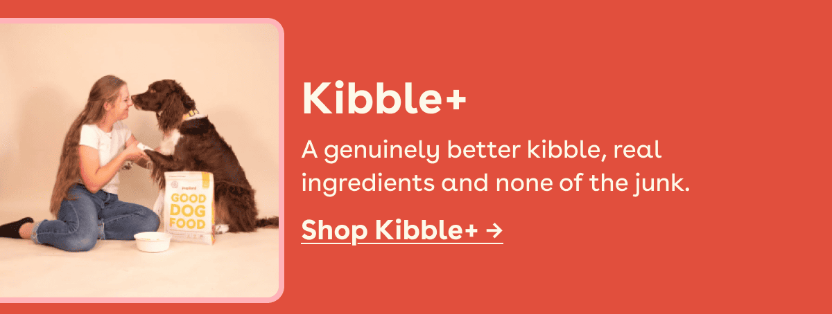 Kibble 