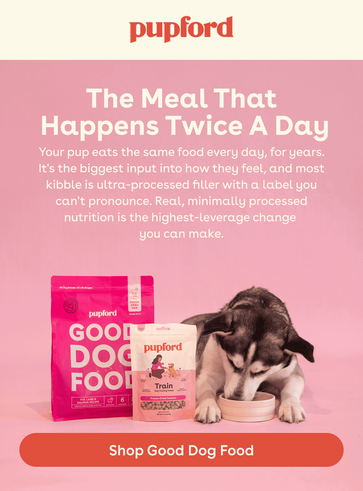 Shop good dog food