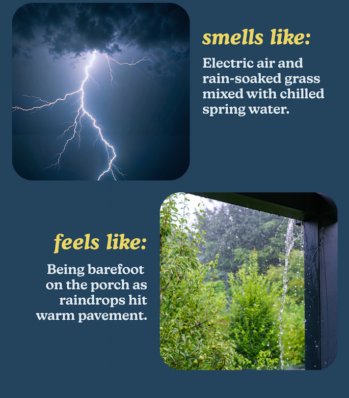 smells like: electric air and rain-soaked grass mixed with chilled spring water. feels like: being barefoot on the porch as raindrops hit warm pavement. 