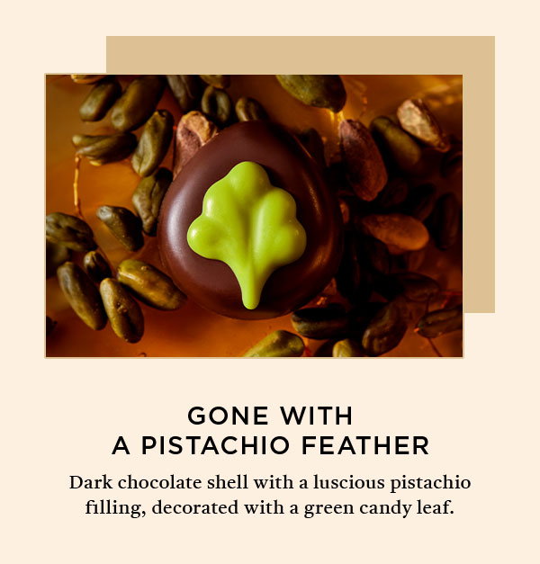 CHOCOLATE IMAGE