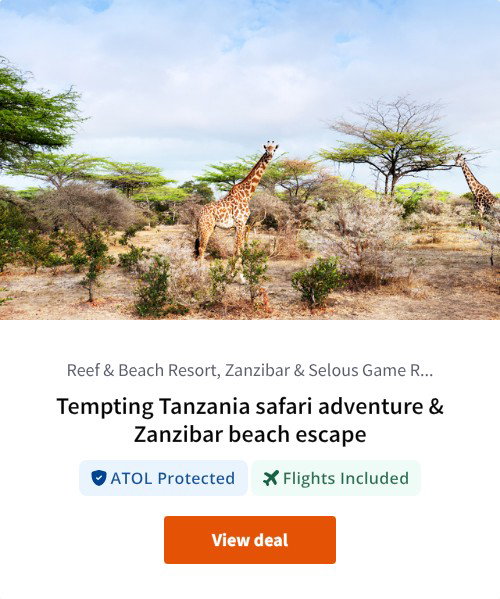 Tempting Tanzania safari adventure &amp; Zanzibar beach escape