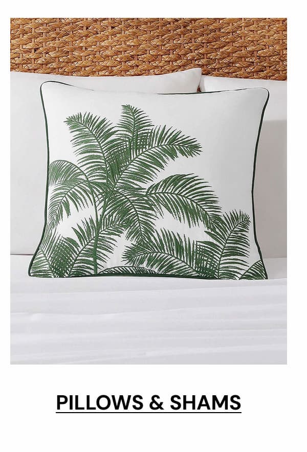 Shop pillows & shams