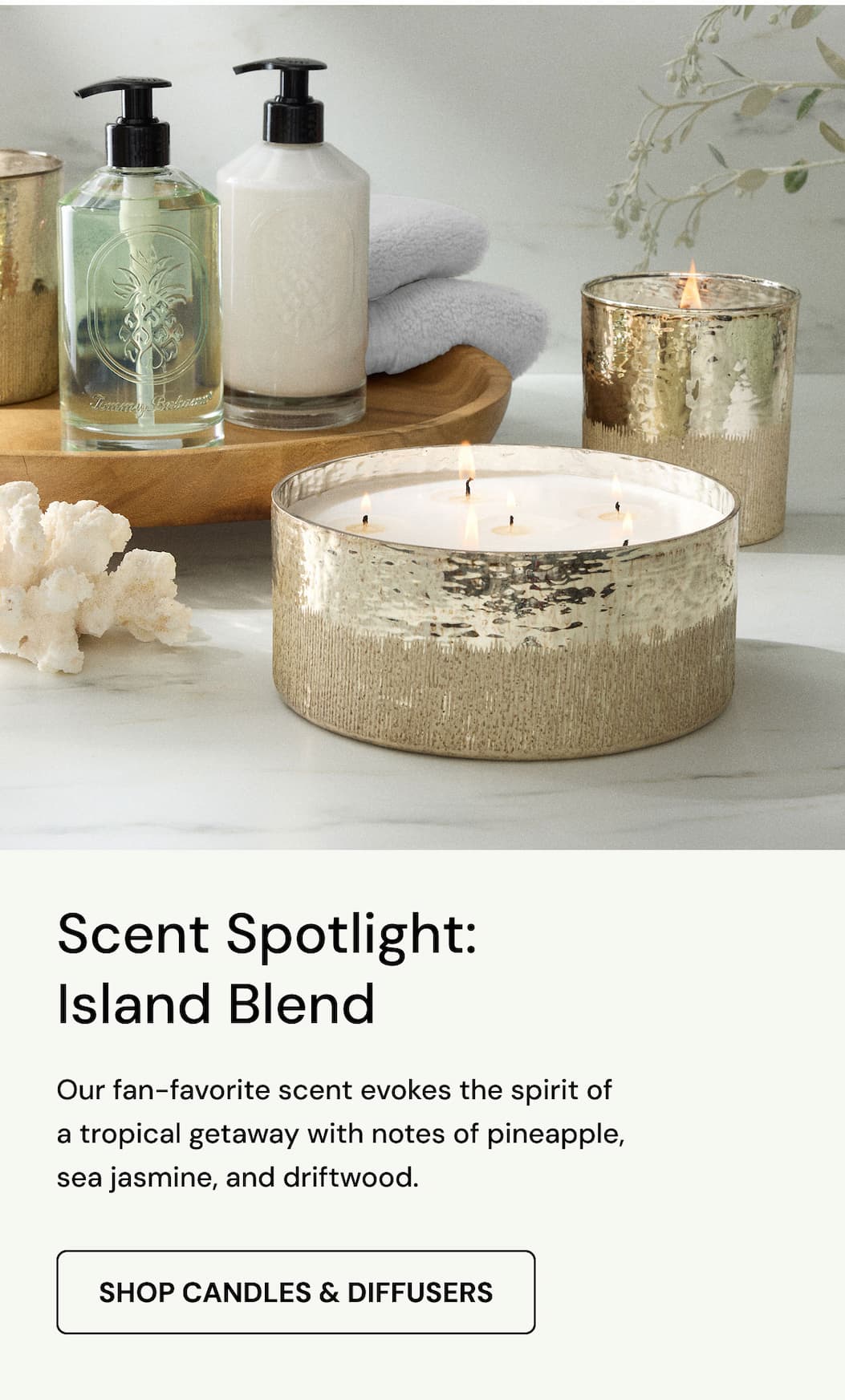Scent Spotlight: Island Blend. Our fan-favorite scent evokes the spirit of a tropical getaway with notes of pineapple, sea jasmine, and driftwood. Shop candles & diffusers. 